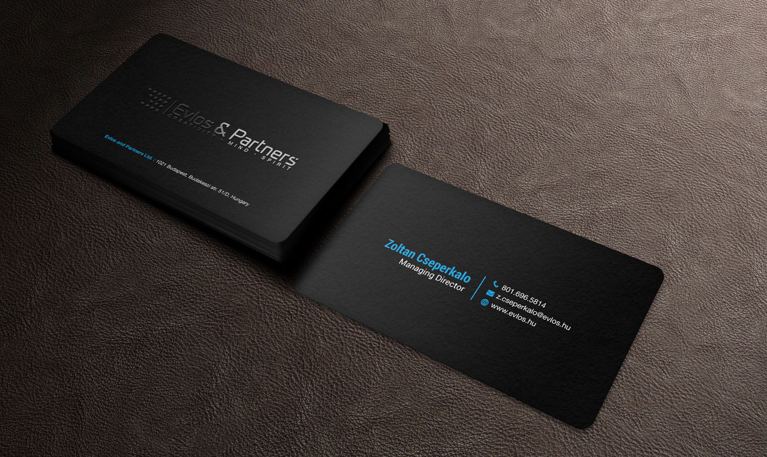 Business Card Design by mdreyad for Evlos & Partners Ltd. | Design #17382606