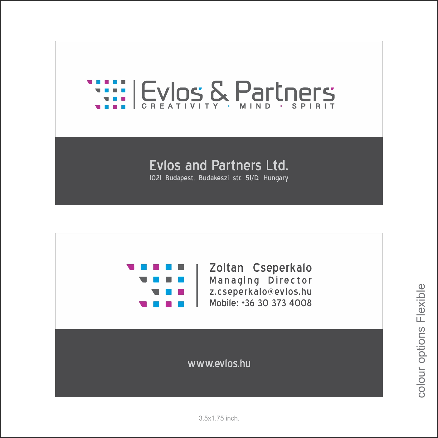 Business Card Design by J.Rakesh for Evlos & Partners Ltd. | Design #17207830