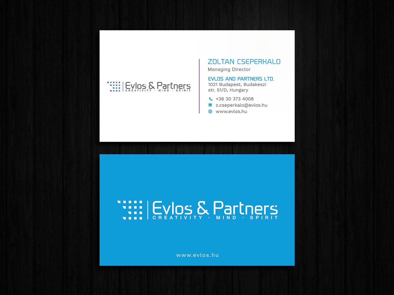 Business Card Design by Tripti Ranjan Gain for Evlos & Partners Ltd. | Design #17117046