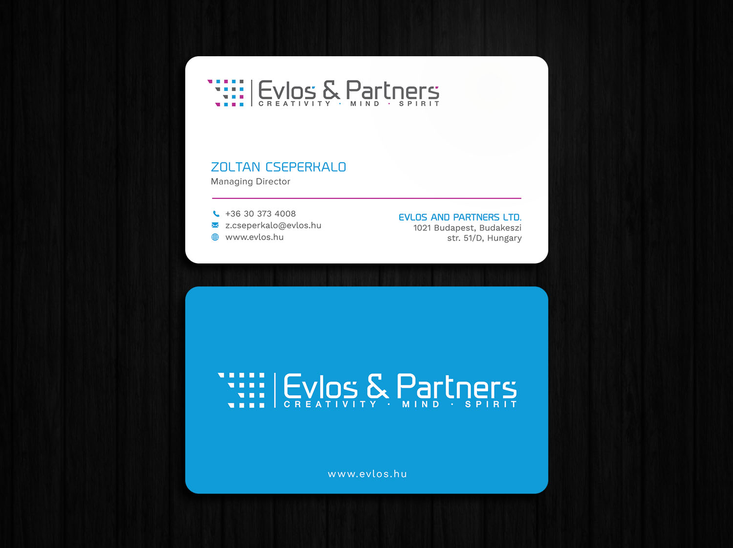 Business Card Design by Tripti Ranjan Gain for Evlos & Partners Ltd. | Design #17117054
