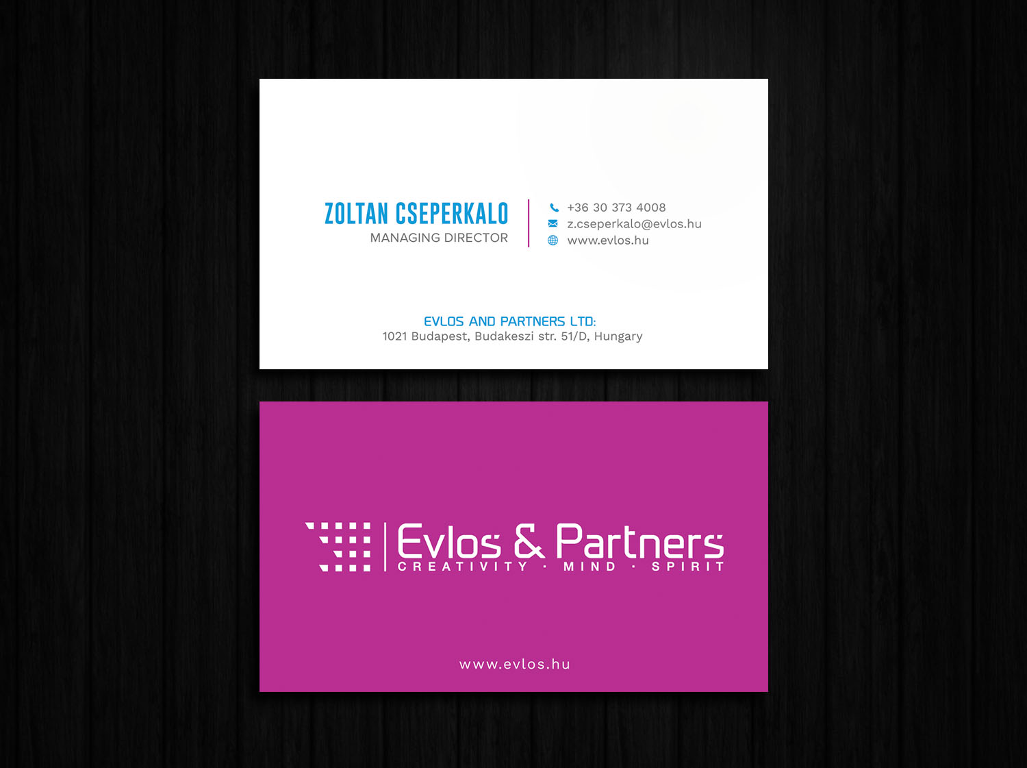 Business Card Design by Tripti Ranjan Gain for Evlos & Partners Ltd. | Design #17117176
