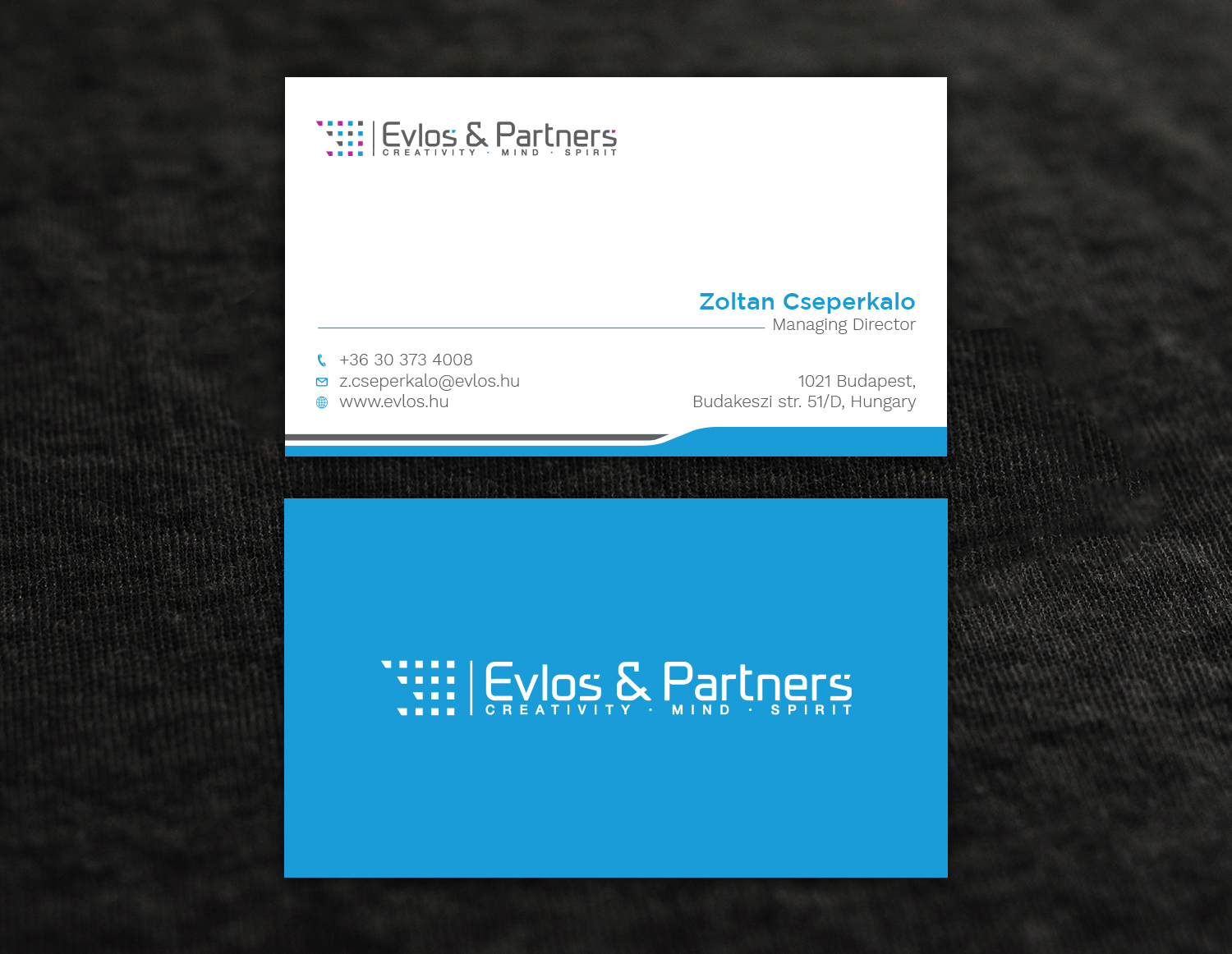 Business Card Design by Tripti Ranjan Gain for Evlos & Partners Ltd. | Design #17121333