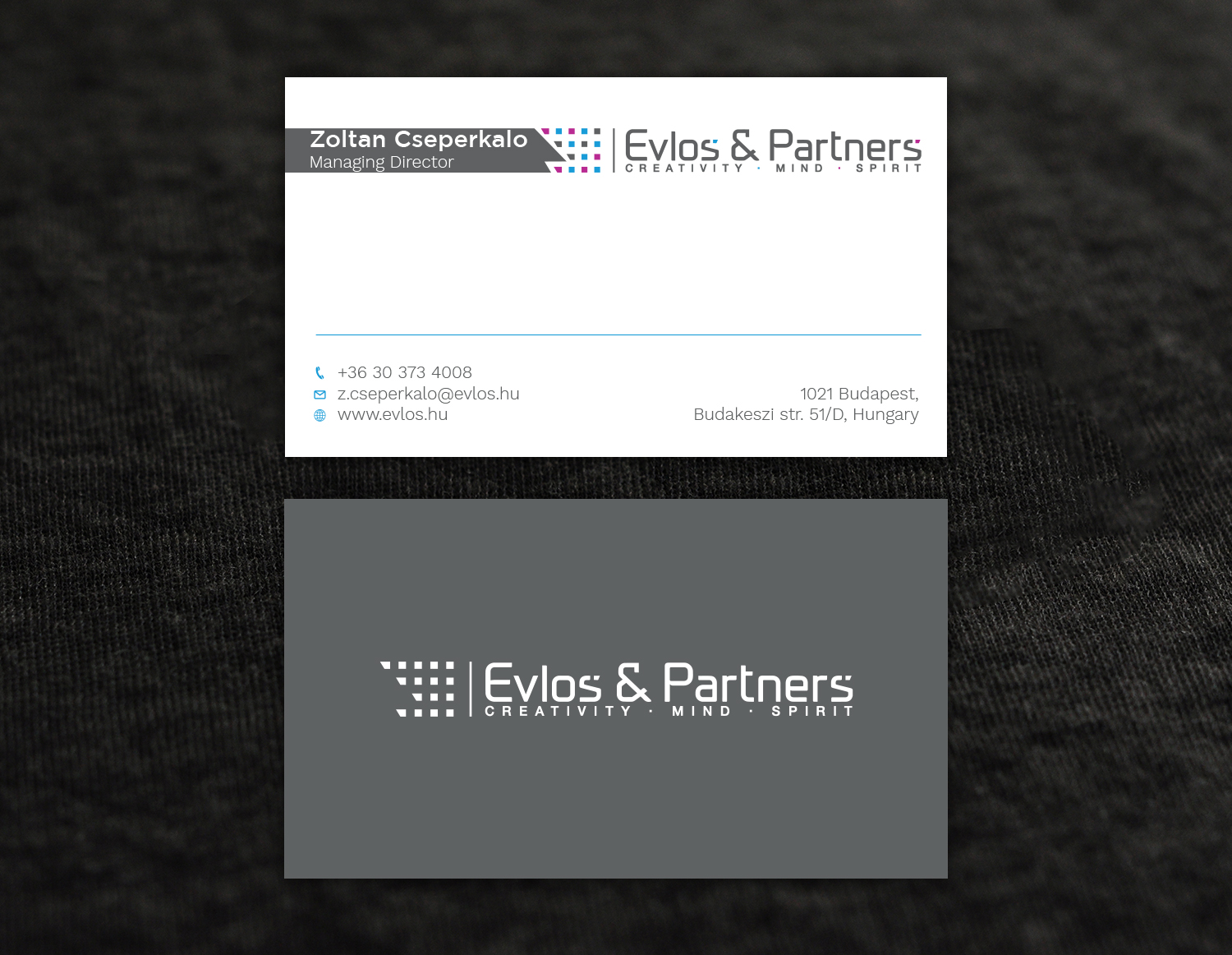 Business Card Design by Tripti Ranjan Gain for Evlos & Partners Ltd. | Design #17121344