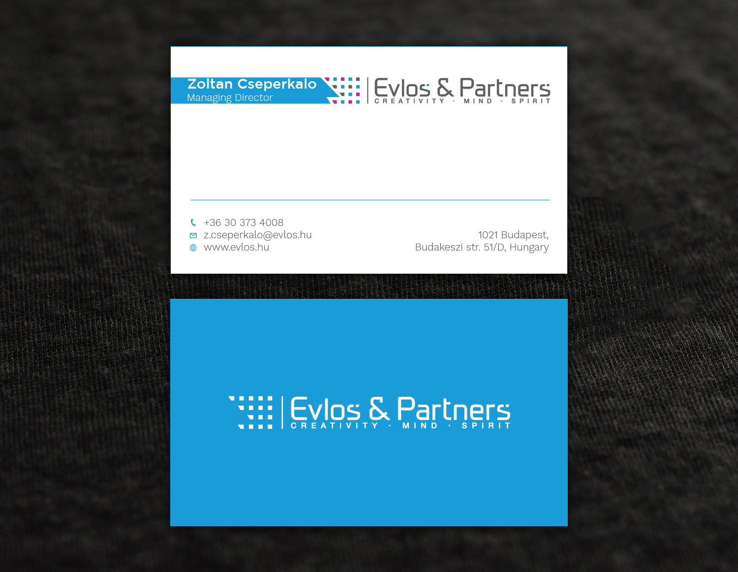 Business Card Design by Tripti Ranjan Gain for Evlos & Partners Ltd. | Design #17121345