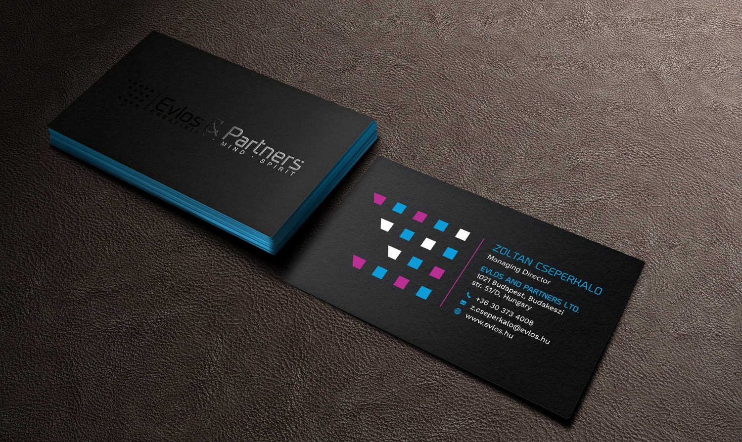 Business Card Design by Tripti Ranjan Gain for Evlos & Partners Ltd. | Design #17340556