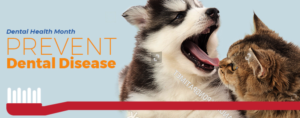 Design de Bannière  par MIND pour Acumenex Veterinary Solutions | Design : #17179736