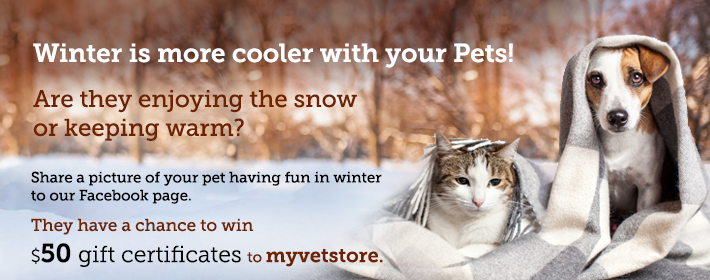 Banner-Design von Akshar Shailesh für Acumenex Veterinary Solutions | Design #17121985