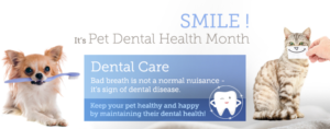 Banner Ad Design by Akshar Shailesh