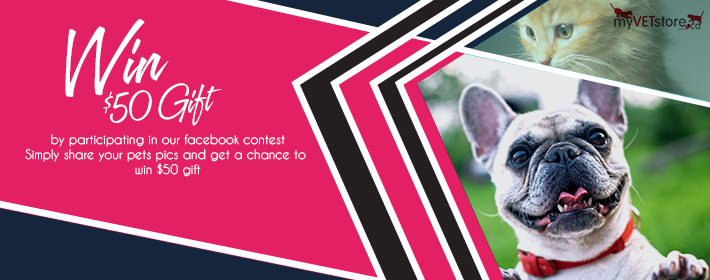Diseño De Banner Publicitario por Shoaib'As para Acumenex Veterinary Solutions | Diseño #17177687