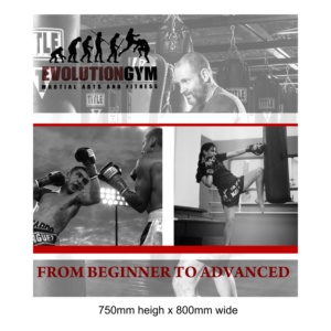 Australian Martial Arts Gym needs signage designed  | Schilder-Design von elveneclipse