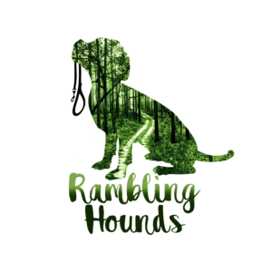 Logo Design by davem