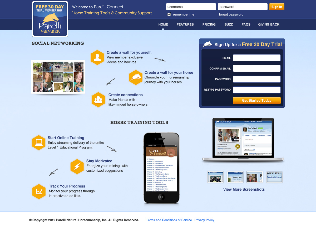 Twitter Design by Fielding Ideas for this project | Design #656572