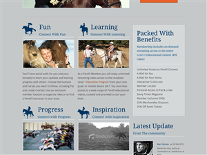 Twitter Design by Windo for this project | Design: #646928