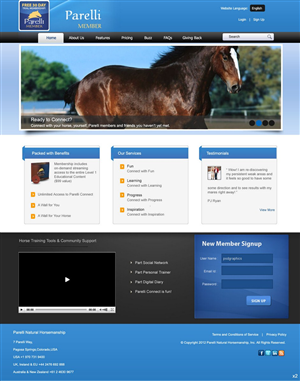 Twitter Design by pb for this project | Design: #644339