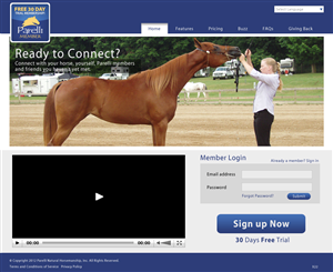Twitter Design by pb for this project | Design: #651485