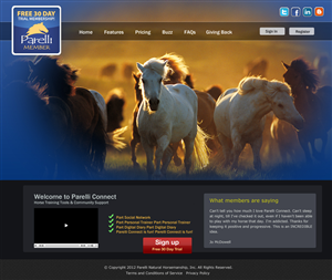 Twitter Design by GK