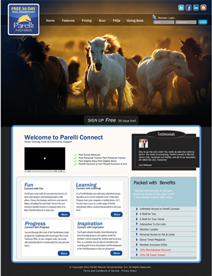 Twitter Design by GK for this project | Design: #666445