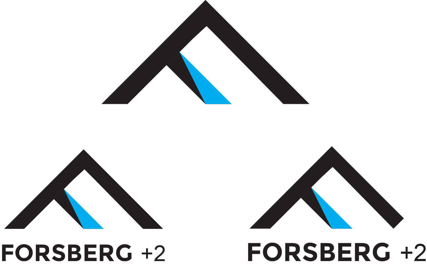Logo Design by AdamMarco for FORSBERG+two | Design #17202177