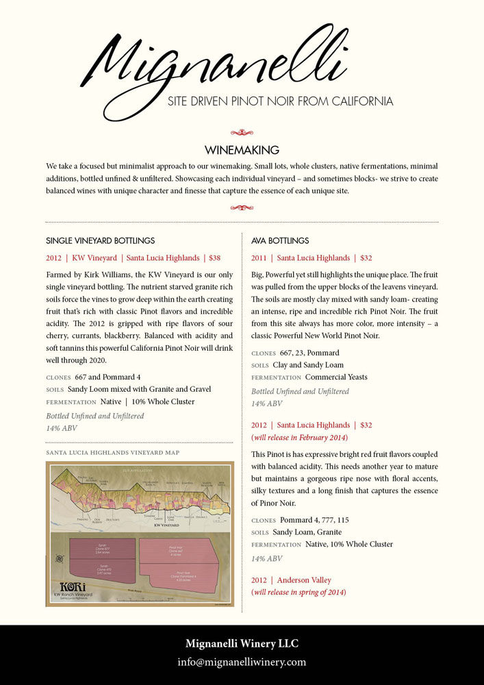 Diseño de Flyer por foo para este proyecto | Diseño #2696101