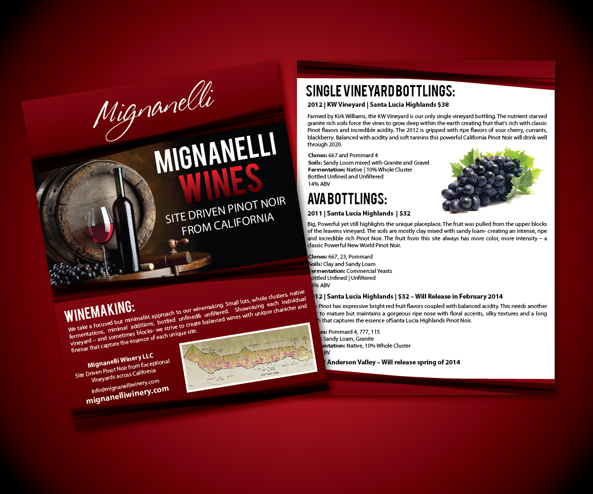 Flyer Design by joliau for this project | Design #2700675