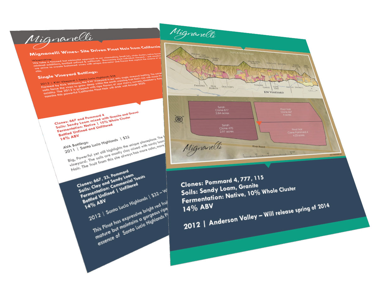 Flyer-Design von Anil für dieses Projekt | Design #2699787