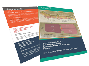 Flyer Design by Anil