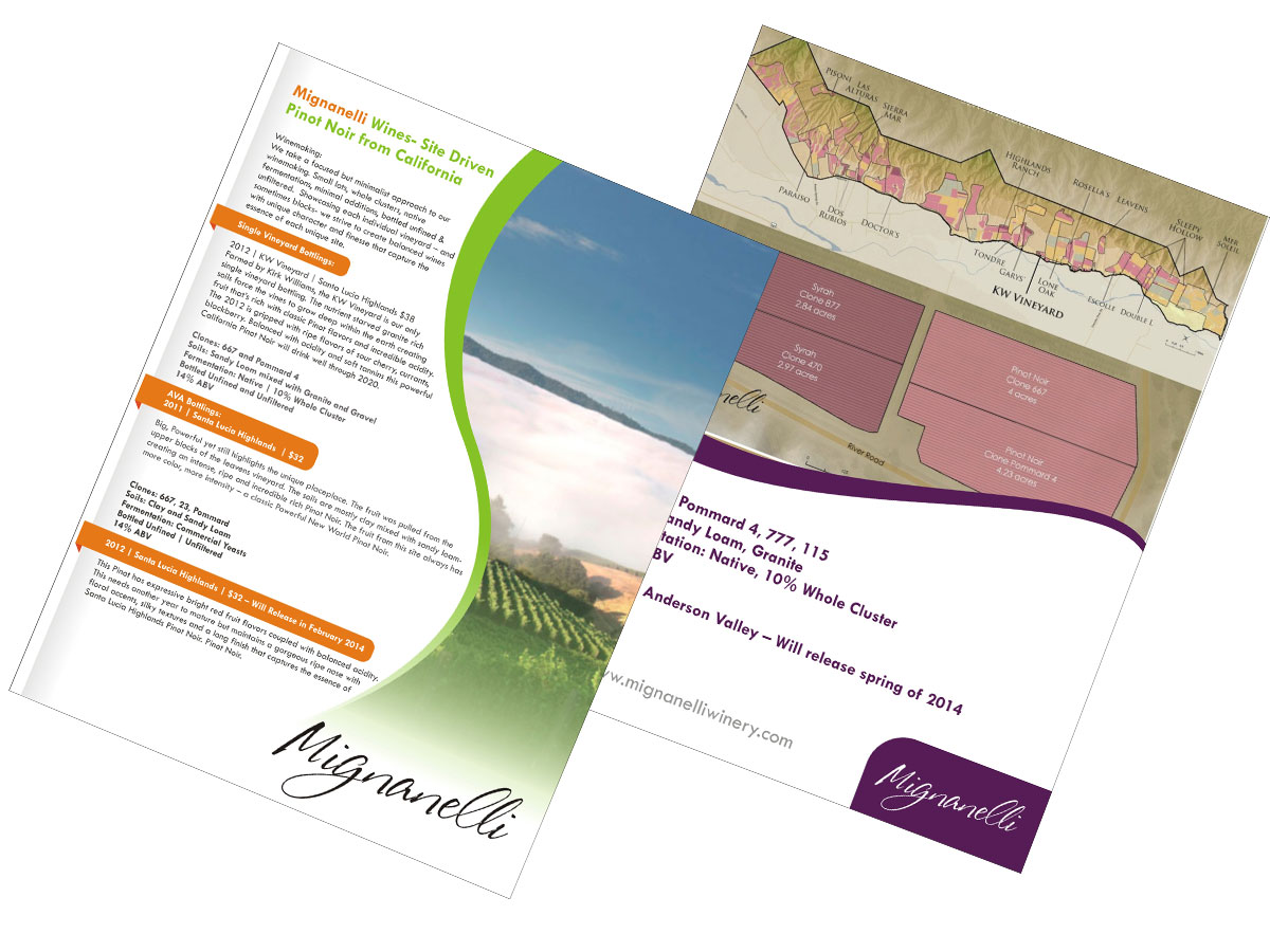 Flyer Design by Anil for this project | Design #2699973