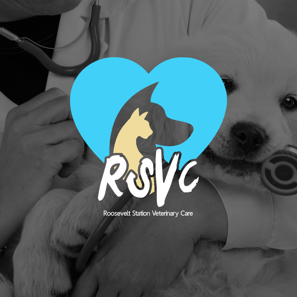 Logo Design by JaceDesigns for this project | Design #17159140