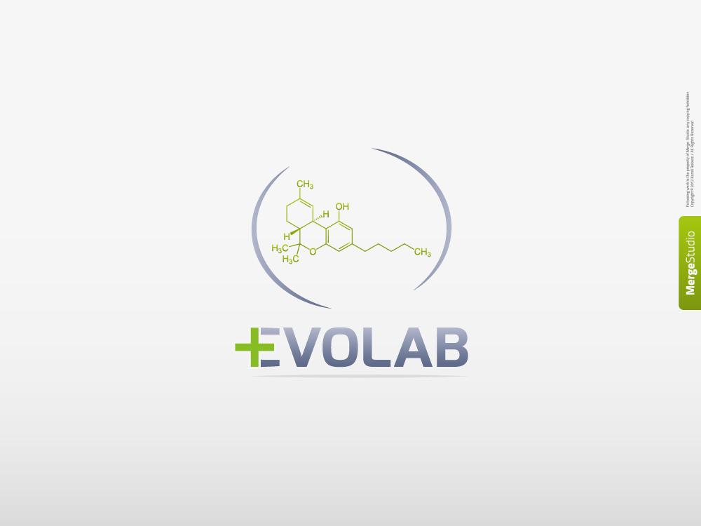 Logo Design by MergeStudio for this project | Design #625853