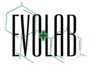 Logo Design by Roxanne Johnston Designs