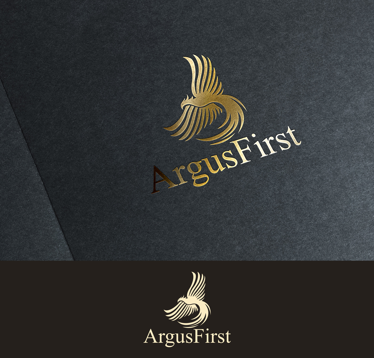 Logo Design by Impressive Solutions for ArgusFirst | Design #17136211