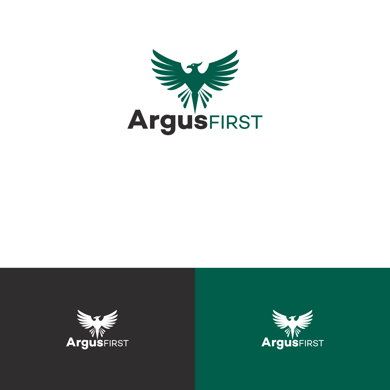 Logo Design by DesignDUO for ArgusFirst | Design #17197685