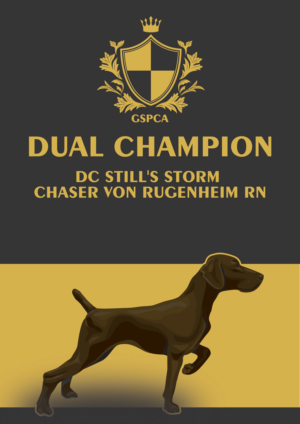 T-shirt Design by diana popescu