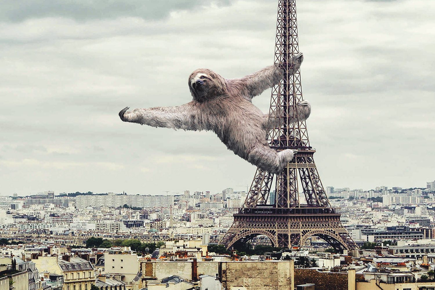 Photoshop Design by DINAROID for DesignCrowd (Community Contests) | Design #17171506