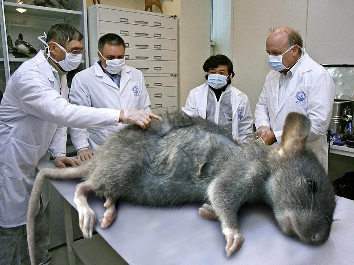 Photoshop Design by kaiser77 for DesignCrowd (Community Contests) | Design #17206930