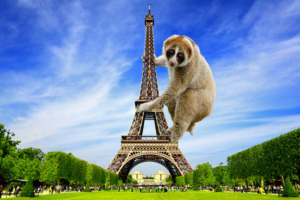 Photoshop Design by fozia 2