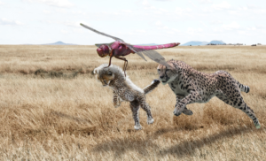 Photoshop Design by Manson Nellum