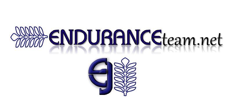 Logo Design by Jabiroo Designs for this project | Design #627186