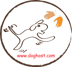 Logo Design by Litz