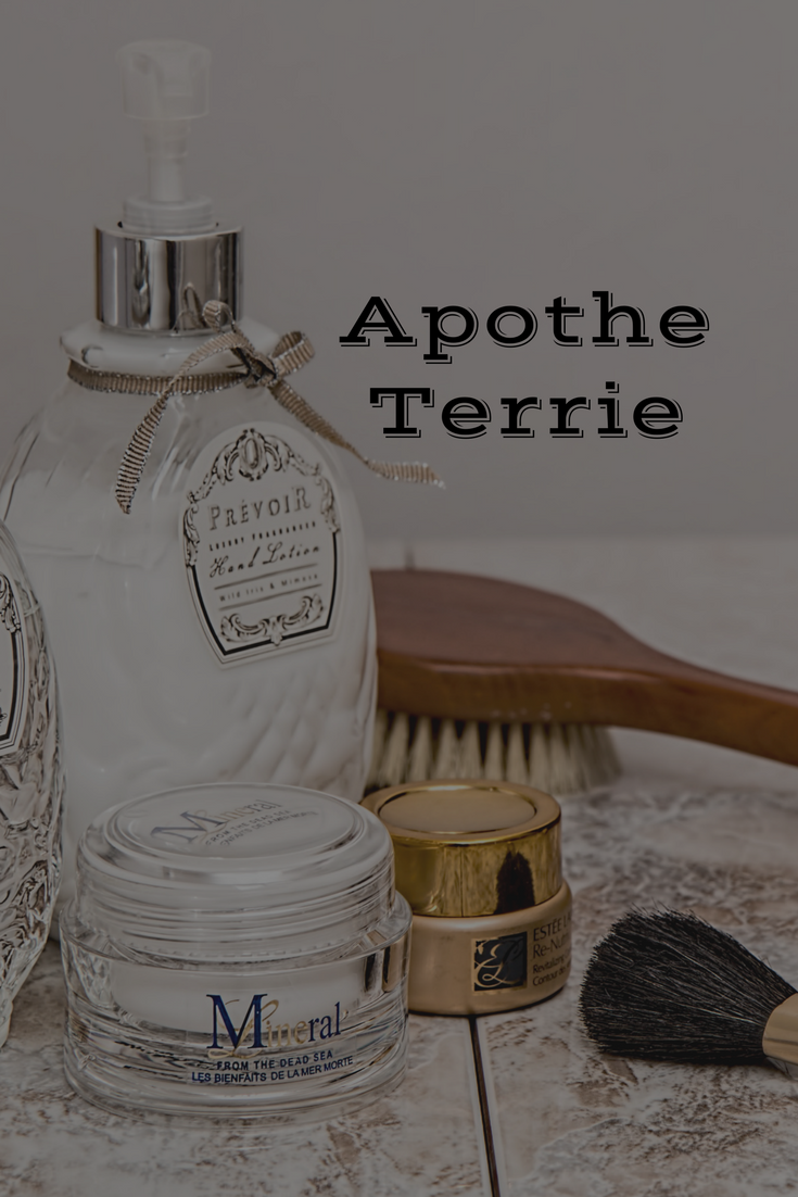 Logo Design by Enzo91 for ApotheTerrie | Design #17230718