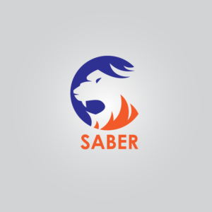 Logo Design by mirza muhammad usman baig
