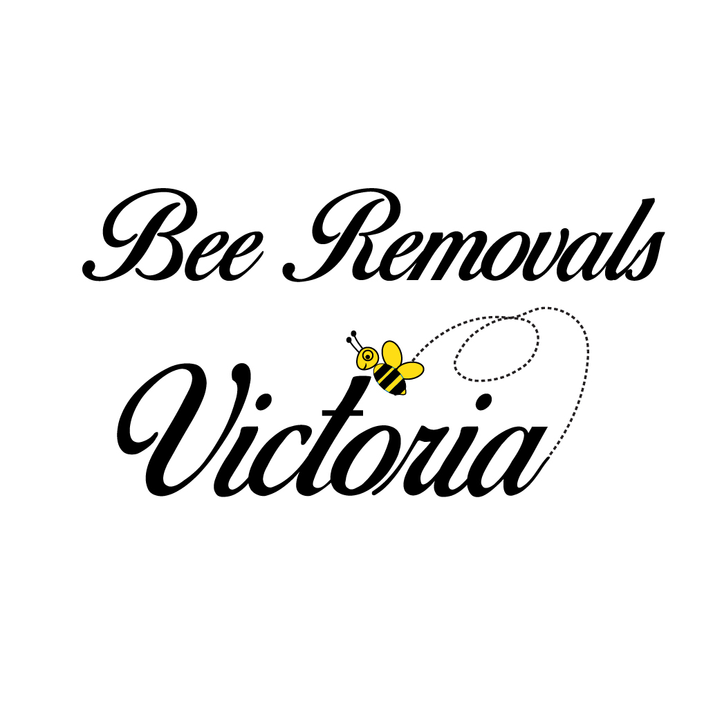 Logo Design by Archaeologo for this project | Design #17218634