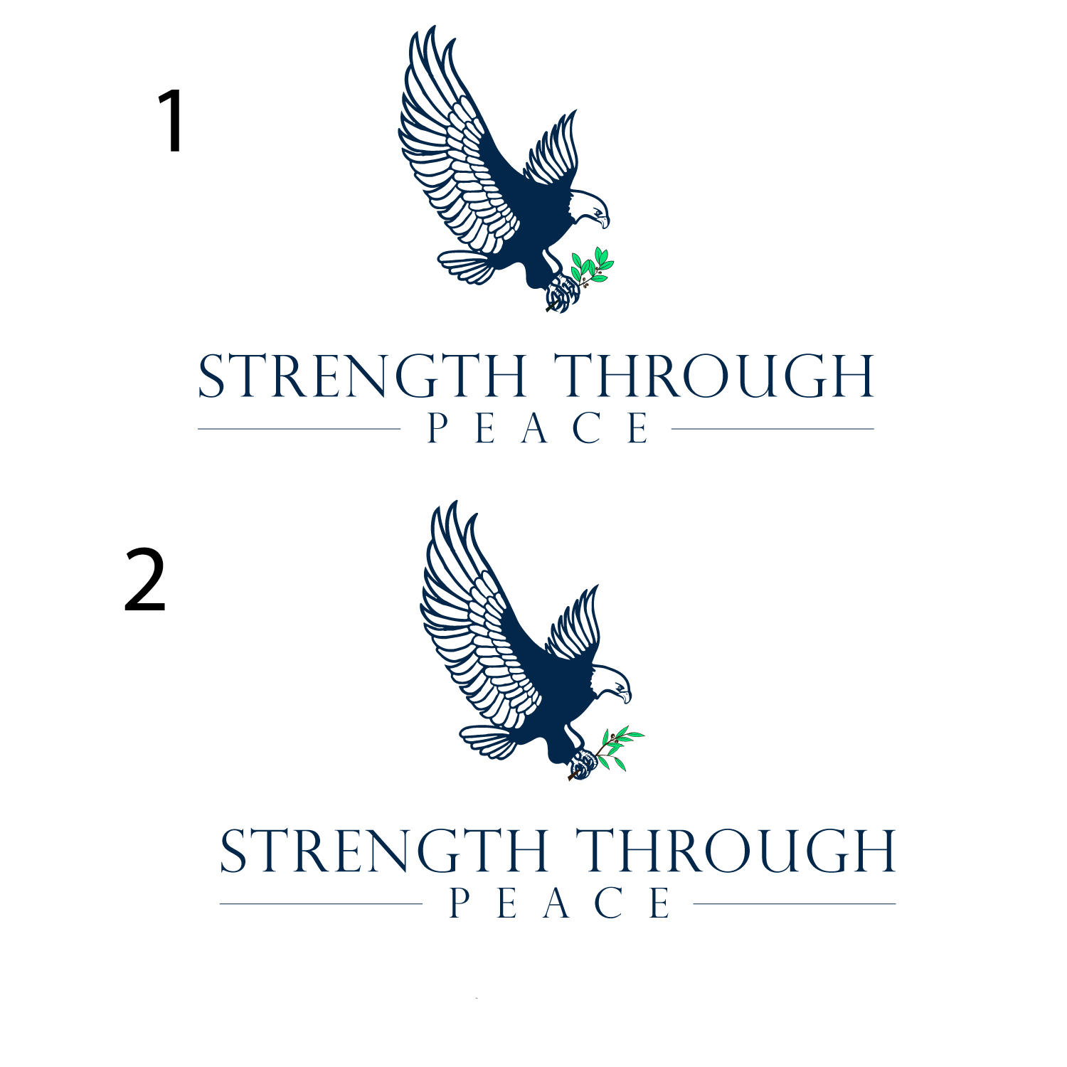 Logo Design by Nihad Ceferov for Democracy Awake | Design: #17193098