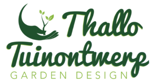 Logo Design by NTXDesigns for Digitalized BE0849.813.040 | Design: #17174338