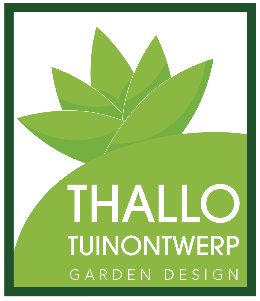 Logo Design by NTXDesigns for Digitalized BE0849.813.040 | Design #17174341