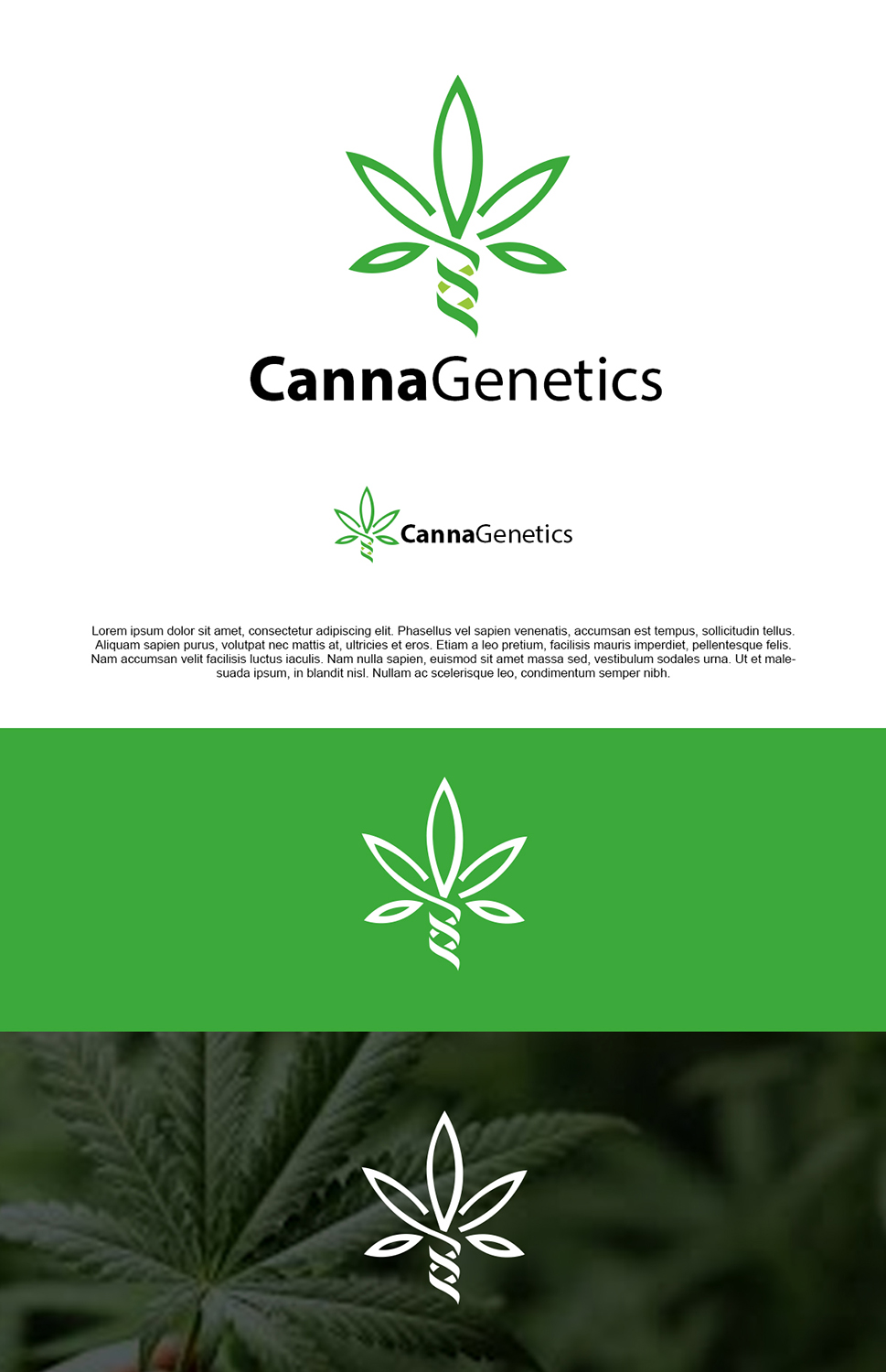 Design de Logo par pixelgrapix pour ce projet | Design #17170161