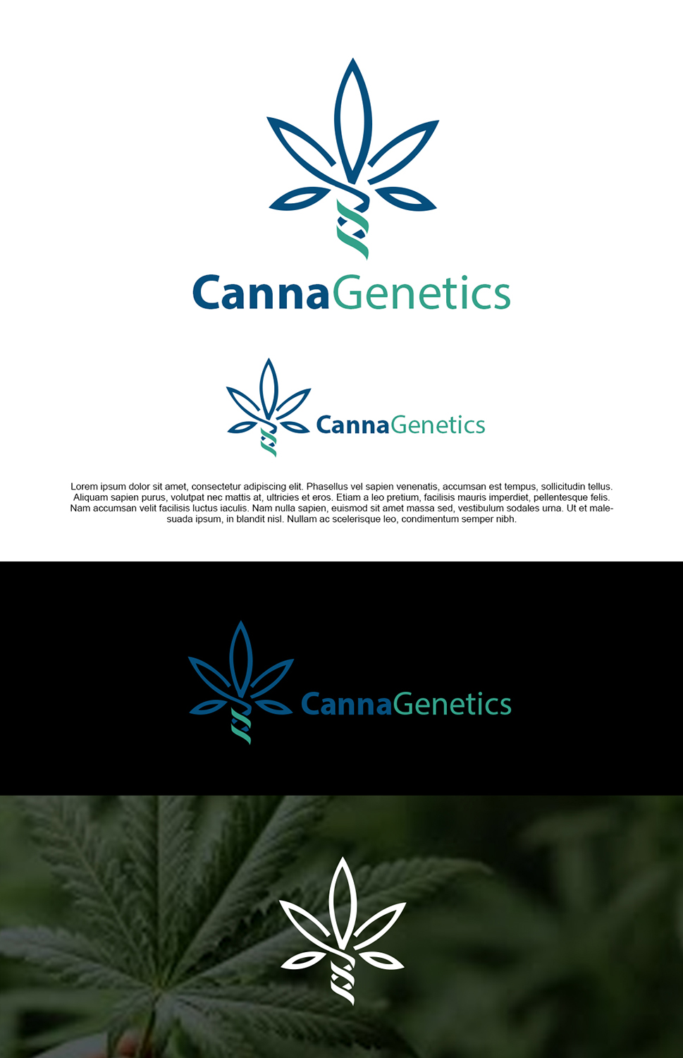 Logo Design by pixelgrapix for this project | Design #17178446
