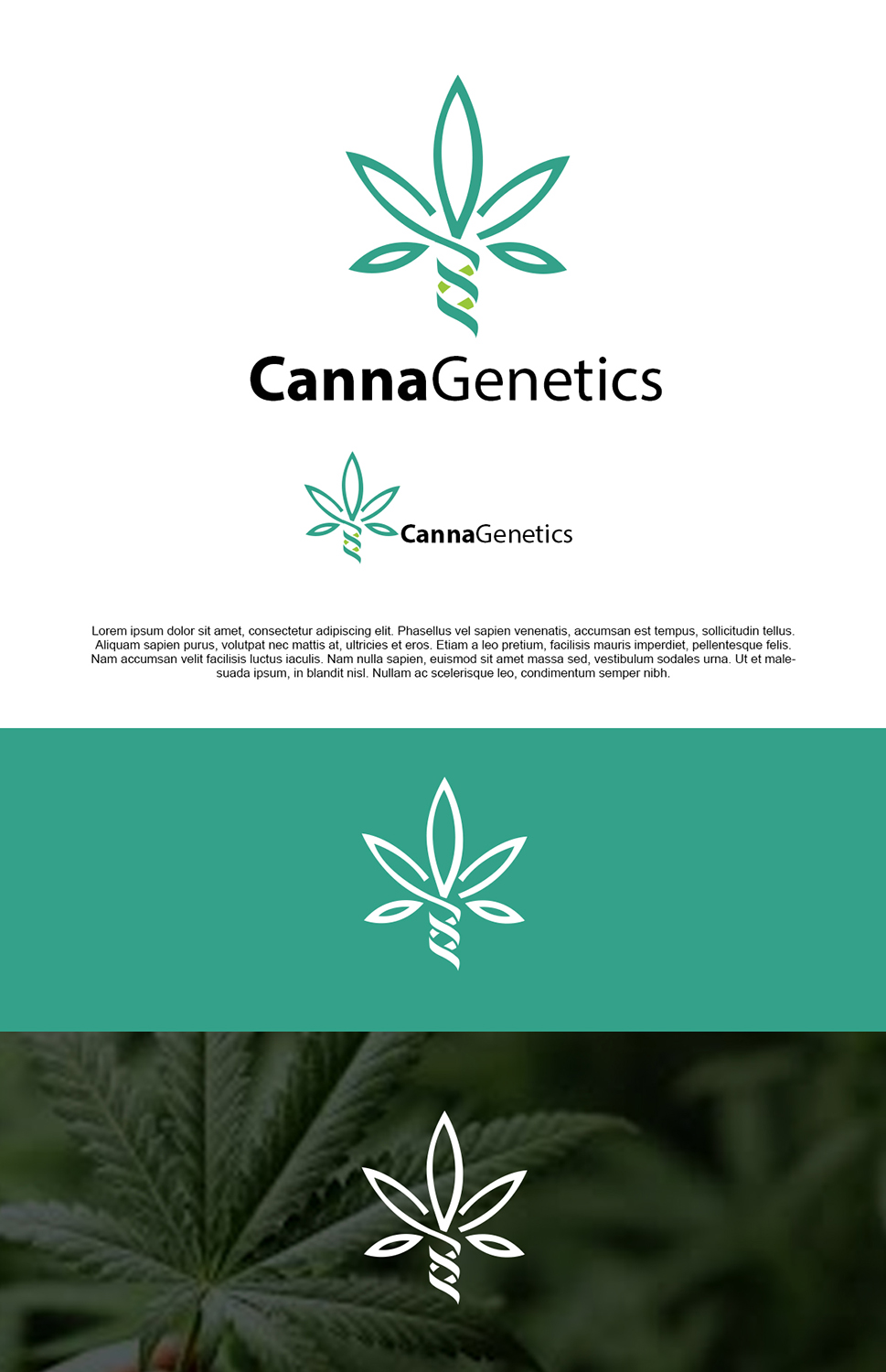 Design de Logo par pixelgrapix pour ce projet | Design #17178448