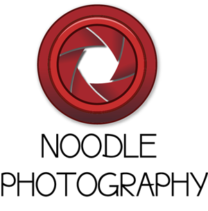 Logo Design by Lucas de Campos for this project | Design: #2701108
