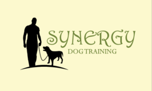 Diseño de Logo por falcon.wings para Synergy Dog Training | Diseño: #17220250